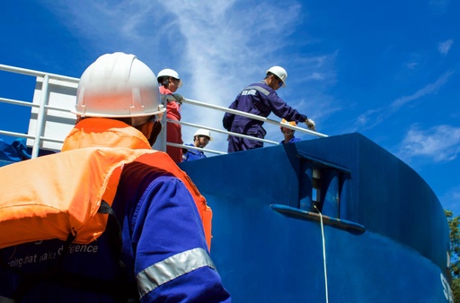 Crisis Management and Human Behavior (CMHB)